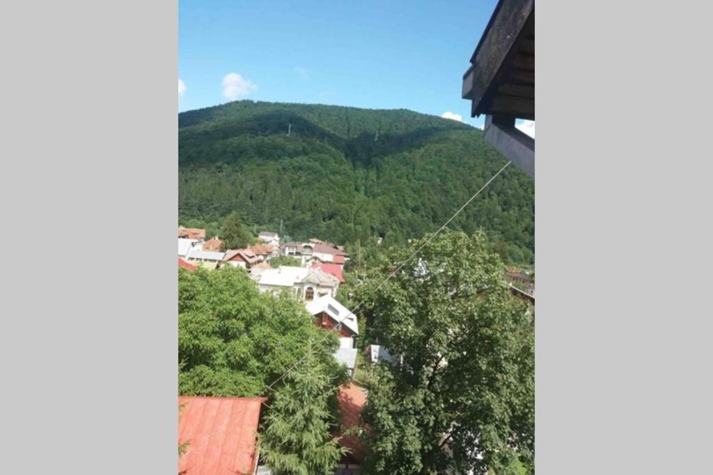 Kika Apartment- Last Floor, No Elevator, *