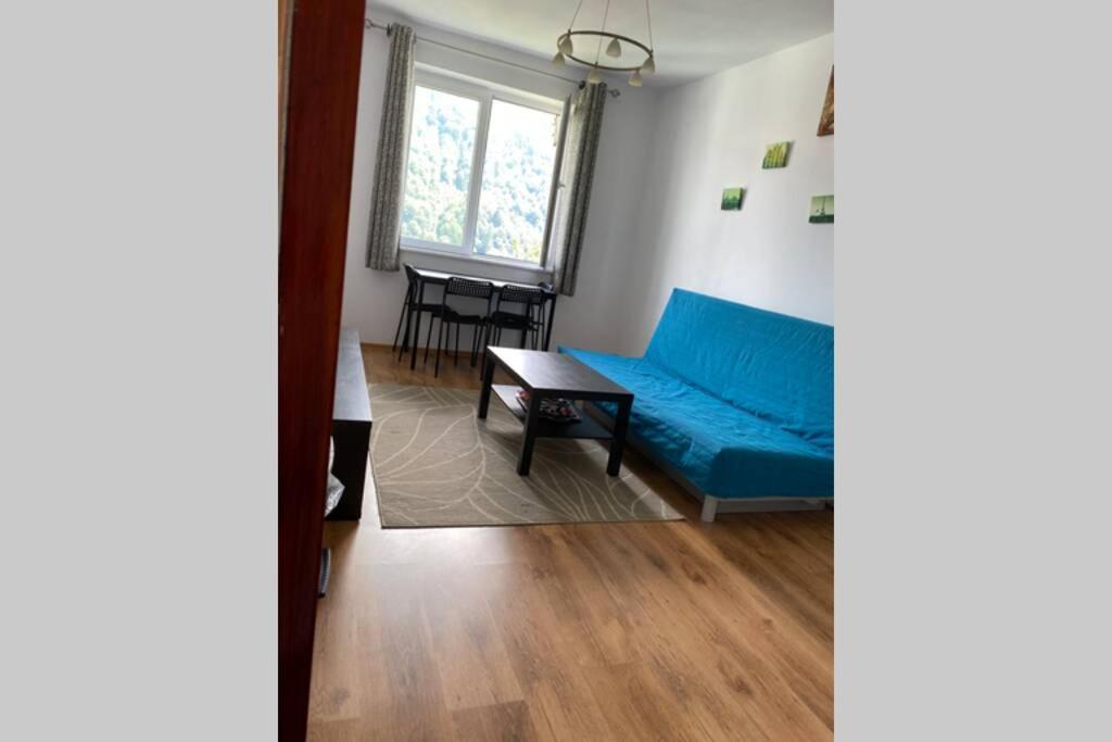 Kika Apartment- Last Floor, No Elevator, Sinaia